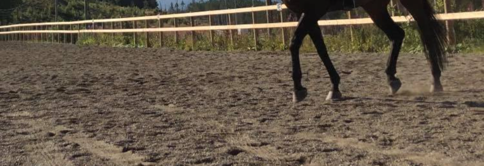 Storm-trening 11.-13. juni